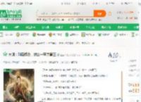 大明：刚要造反，被封一字并肩王_盗墓天使小哥小说_全本小说下载_飞卢小说网