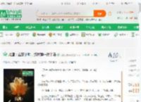 抗鹰：金家少帅，造核弹一统半岛_天榜我要冲刺小说_全本小说下载_飞卢小说网