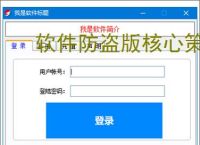 软件防盗版核心策略：五大防护技术解析