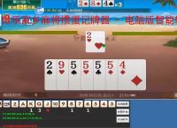 微乐家乡麻将掼蛋记牌器 - 电脑版智能辅助工具，助你轻松掌握牌局