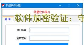 软件加密验证：守护数字资产安全的核心技术