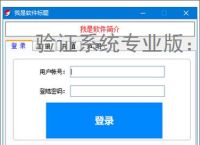 验证系统专业版：企业级安全认证解决方案