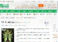 精灵：我，最强赏金猎人_锦严小说_全本小说下载_飞卢小说网