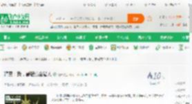 精灵：我，最强赏金猎人_锦严小说_全本小说下载_飞卢小说网