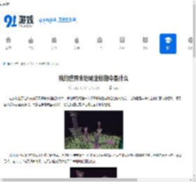 我的世界末地城坐标指令是什么-我的世界末地城坐标指令怎么用 - 91手游网