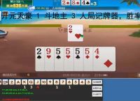 开元天豪 1 斗地主 3 人局记牌器，胜率直接拉满、3 人斗地主、斗地主记牌器、微信小程序记牌器