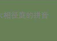 人在火影，综漫角色攻略我？_大吐司小说_全本小说下载_飞卢小说网