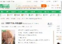 综漫：开局薇尔莉特逃离腐烂国度_跑来跑去小说_全本小说下载_飞卢小说网